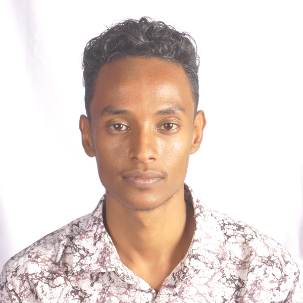 Mohamed Ibrahim - IT Professional